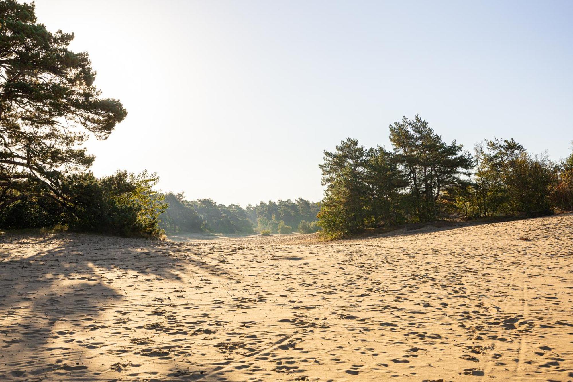 Vakantiehuis Veluws Genieten Met Whirlpool En Sauna Doornspijk 외부 사진